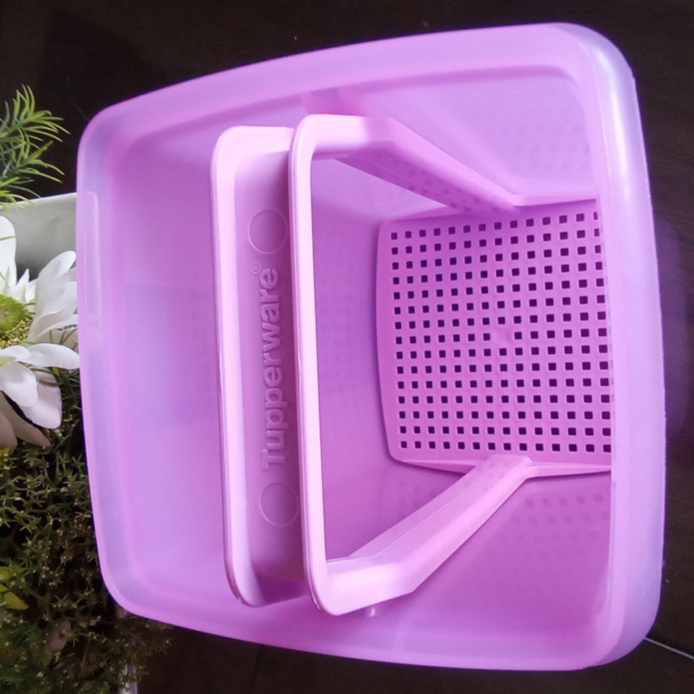 New🌈 Tupperware Pickle Container & Food Storage - Picture 6 of 10